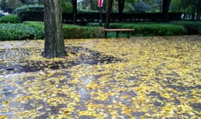 雨后的城市風景，你細細品味過嗎？