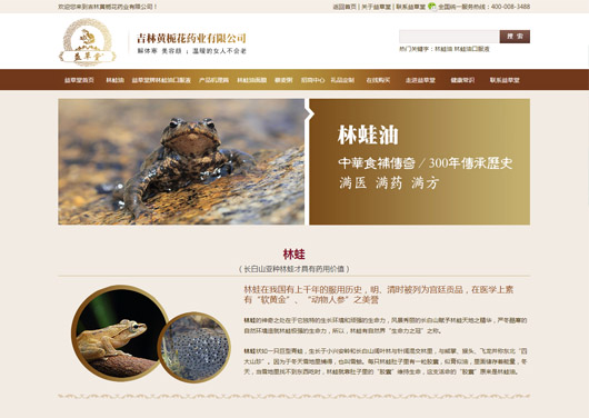 網站設計