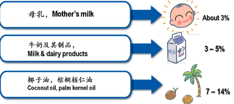 中鏈甘油三酯（MTC）是如何給人體充電加油的？