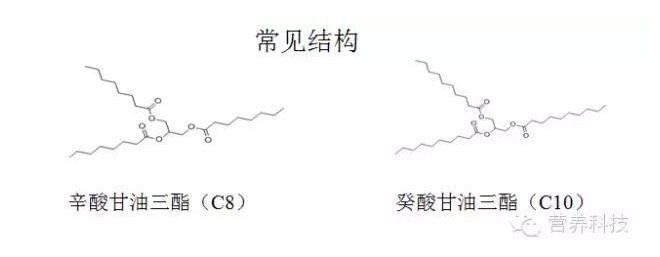 MCT常見結構